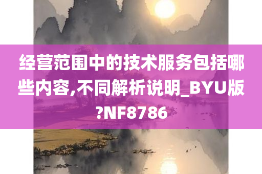 经营范围中的技术服务包括哪些内容,不同解析说明_BYU版?NF8786