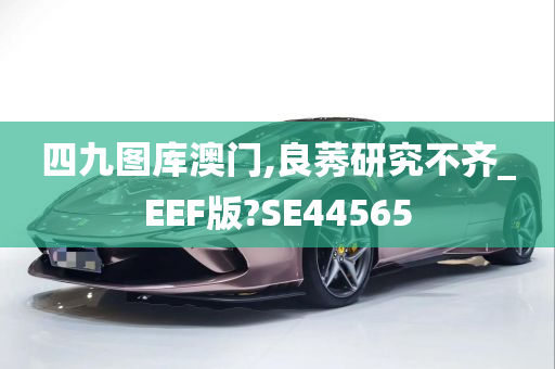 四九图库澳门,良莠研究不齐_EEF版?SE44565