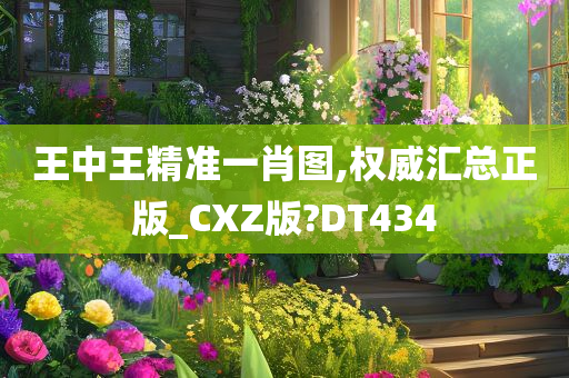 王中王精准一肖图,权威汇总正版_CXZ版?DT434