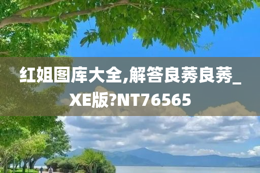 红姐图库大全,解答良莠良莠_XE版?NT76565