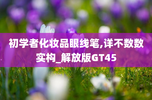 初学者化妆品眼线笔,详不数数实构_解放版GT45