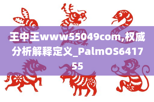 王中王www55049com,权威分析解释定义_PalmOS641755