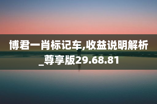 博君一肖标记车,收益说明解析_尊享版29.68.81