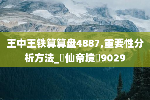 王中王铁算算盘4887,重要性分析方法_‌仙帝境‌9029