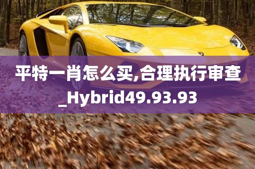 平特一肖怎么买,合理执行审查_Hybrid49.93.93