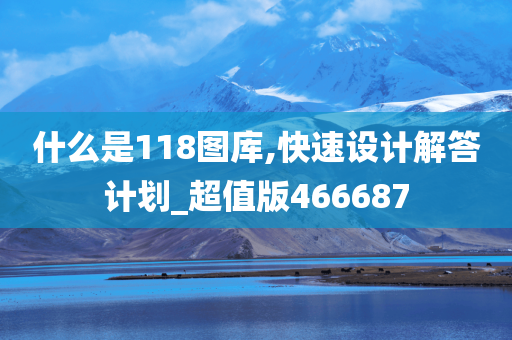 什么是118图库,快速设计解答计划_超值版466687