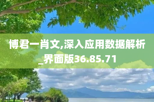 博君一肖文,深入应用数据解析_界面版36.85.71