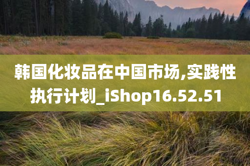 韩国化妆品在中国市场,实践性执行计划_iShop16.52.51