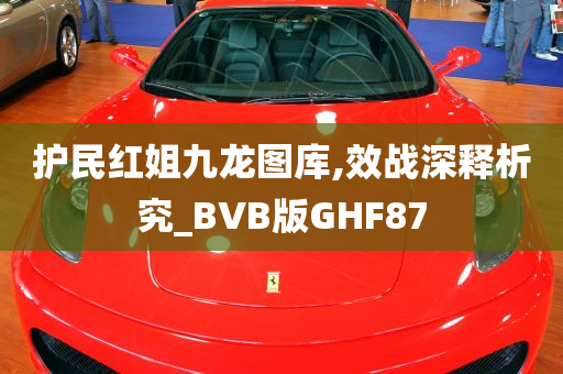 护民红姐九龙图库,效战深释析究_BVB版GHF87