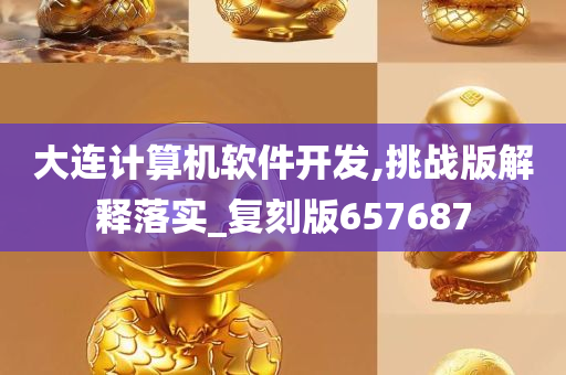 大连计算机软件开发,挑战版解释落实_复刻版657687