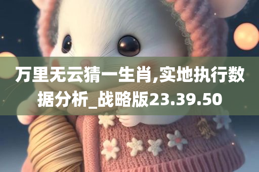 万里无云猜一生肖,实地执行数据分析_战略版23.39.50