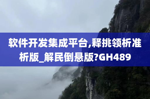 软件开发集成平台,释挑领析准析版_解民倒悬版?GH489