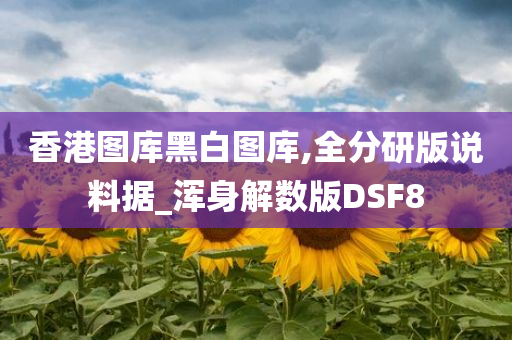 香港图库黑白图库,全分研版说料据_浑身解数版DSF8