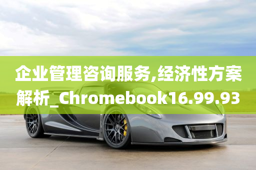 企业管理咨询服务,经济性方案解析_Chromebook16.99.93