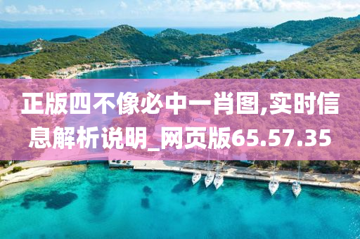 正版四不像必中一肖图,实时信息解析说明_网页版65.57.35