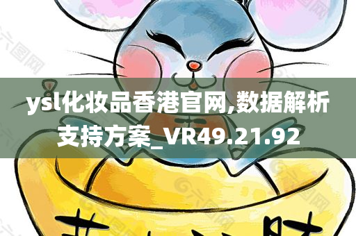 ysl化妆品香港官网,数据解析支持方案_VR49.21.92