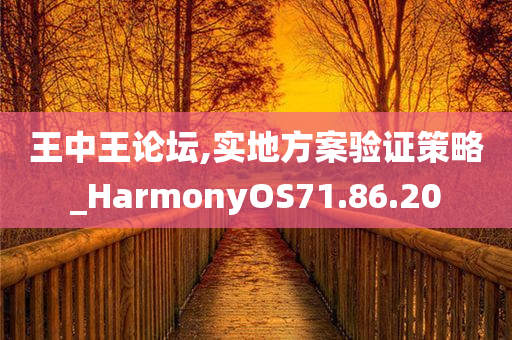 王中王论坛,实地方案验证策略_HarmonyOS71.86.20