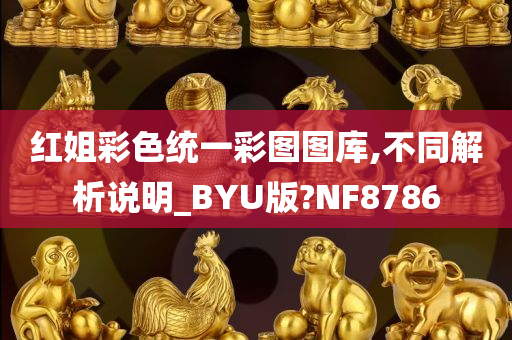 红姐彩色统一彩图图库,不同解析说明_BYU版?NF8786