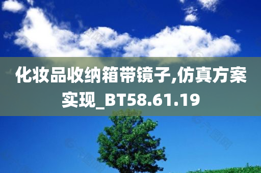 化妆品收纳箱带镜子,仿真方案实现_BT58.61.19