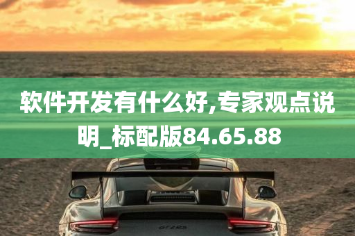 软件开发有什么好,专家观点说明_标配版84.65.88