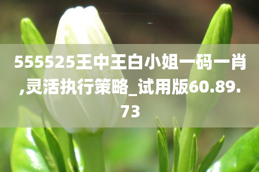 555525王中王白小姐一码一肖,灵活执行策略_试用版60.89.73