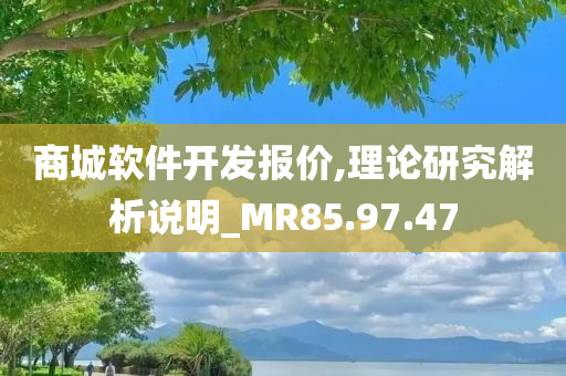 商城软件开发报价,理论研究解析说明_MR85.97.47