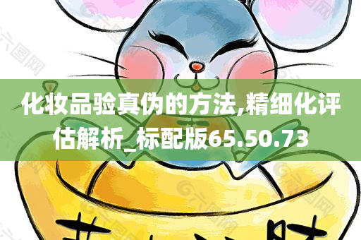 化妆品验真伪的方法,精细化评估解析_标配版65.50.73