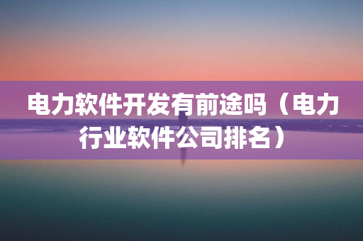 电力软件开发有前途吗（电力行业软件公司排名）