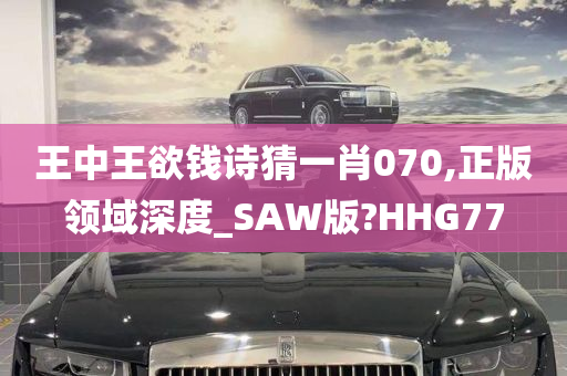 王中王欲钱诗猜一肖070,正版领域深度_SAW版?HHG77