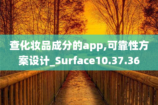 查化妆品成分的app,可靠性方案设计_Surface10.37.36