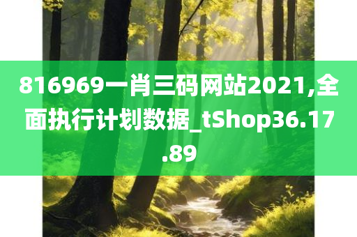 816969一肖三码网站2021,全面执行计划数据_tShop36.17.89