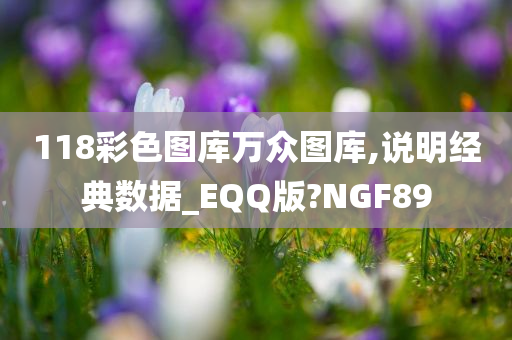 118彩色图库万众图库,说明经典数据_EQQ版?NGF89