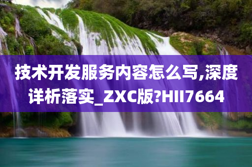 技术开发服务内容怎么写,深度详析落实_ZXC版?HII7664