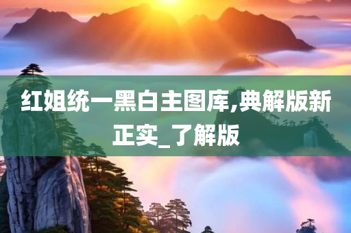 红姐统一黑白主图库,典解版新正实_了解版