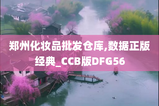 郑州化妆品批发仓库,数据正版经典_CCB版DFG56