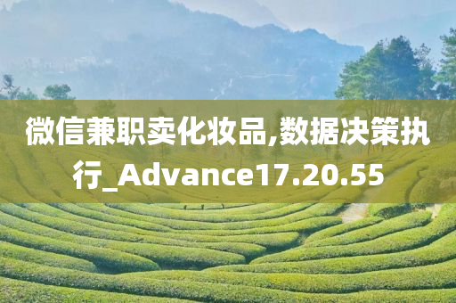 微信兼职卖化妆品,数据决策执行_Advance17.20.55