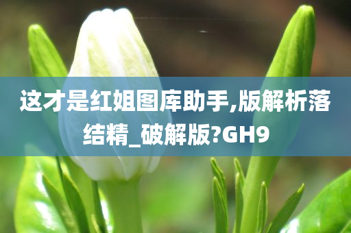 这才是红姐图库助手,版解析落结精_破解版?GH9