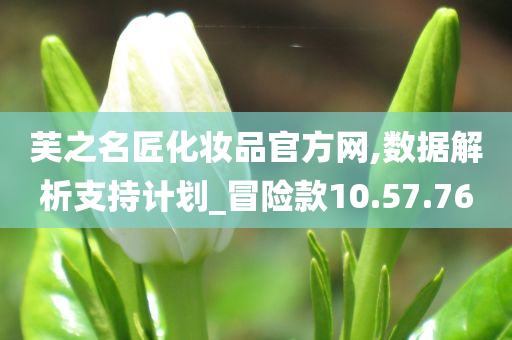 芙之名匠化妆品官方网,数据解析支持计划_冒险款10.57.76