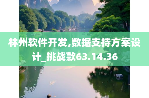 林州软件开发,数据支持方案设计_挑战款63.14.36