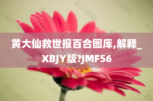 黄大仙救世报百合图库,解释_XBJY版?JMF56