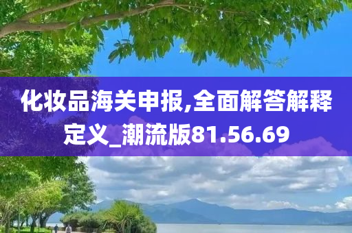 化妆品海关申报,全面解答解释定义_潮流版81.56.69