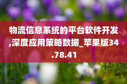 物流信息系统的平台软件开发,深度应用策略数据_苹果版34.78.41