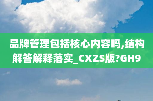 品牌管理包括核心内容吗,结构解答解释落实_CXZS版?GH9