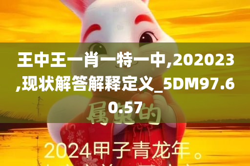 王中王一肖一特一中,202023,现状解答解释定义_5DM97.60.57