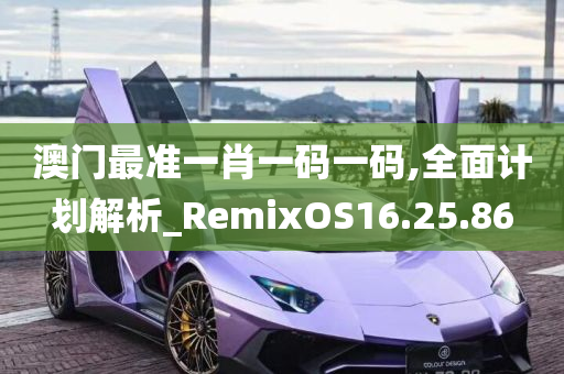 澳门最准一肖一码一码,全面计划解析_RemixOS16.25.86