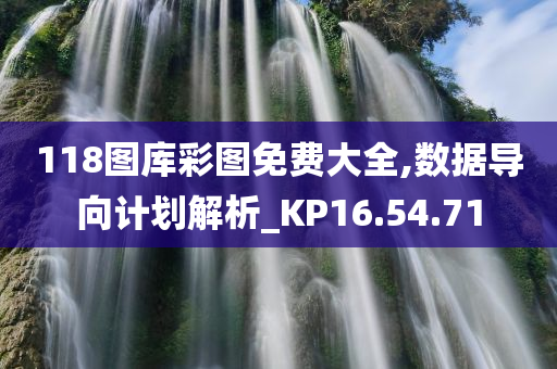 118图库彩图免费大全,数据导向计划解析_KP16.54.71