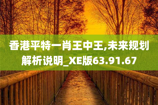 香港平特一肖王中王,未来规划解析说明_XE版63.91.67