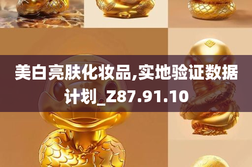 美白亮肤化妆品,实地验证数据计划_Z87.91.10