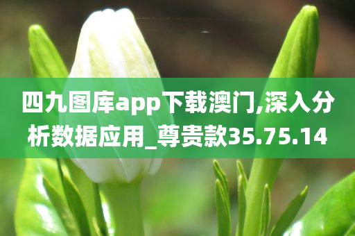 四九图库app下载澳门,深入分析数据应用_尊贵款35.75.14