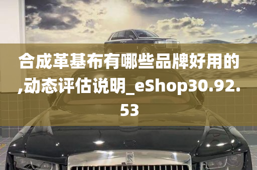 合成革基布有哪些品牌好用的,动态评估说明_eShop30.92.53